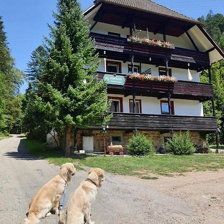 Waldblick Ferienwohnungen Бондорф  Экстерьер фото